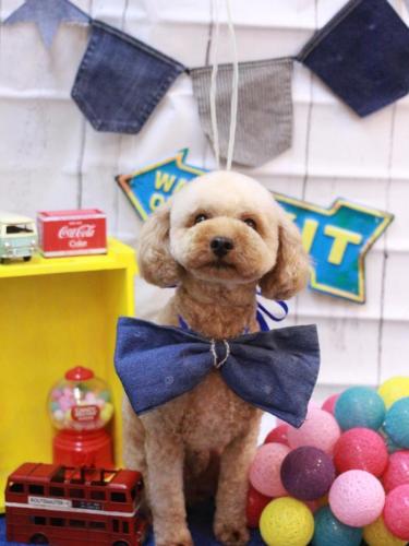 20230406モナカくん